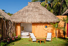 Negocio Bungalows Playa Rosa